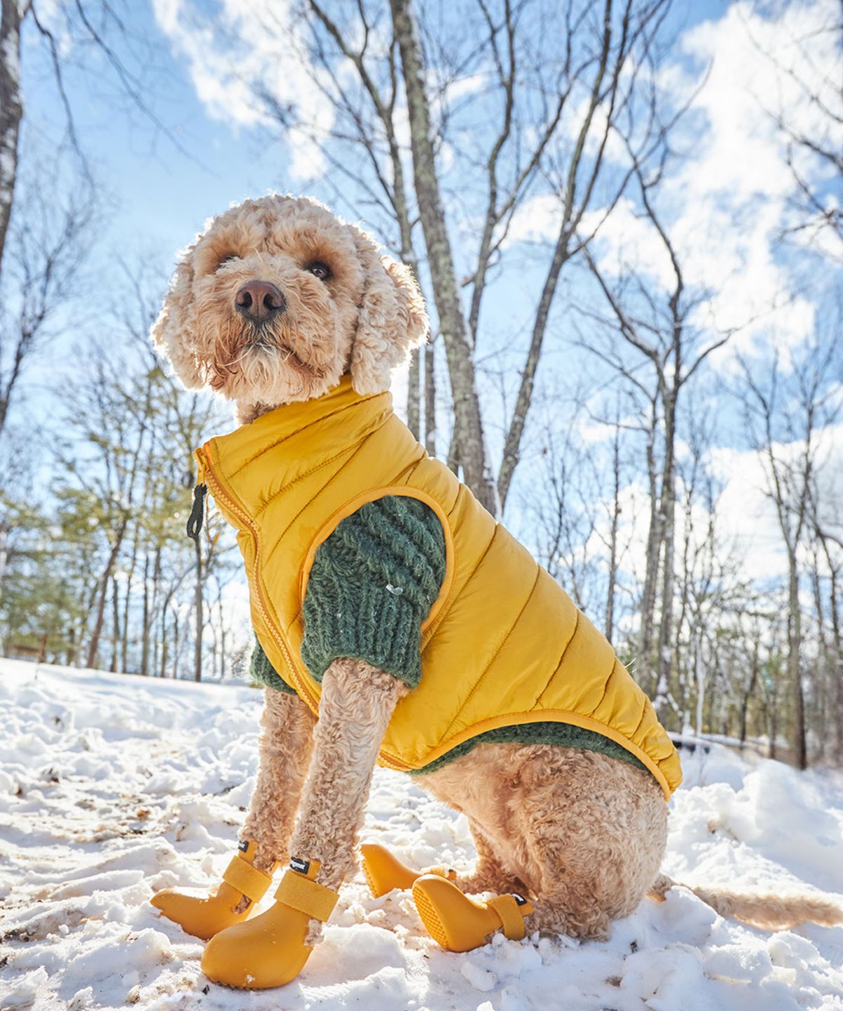 와그웨어(WAGWEAR) 와그웨어 오리지널 와그웰리스