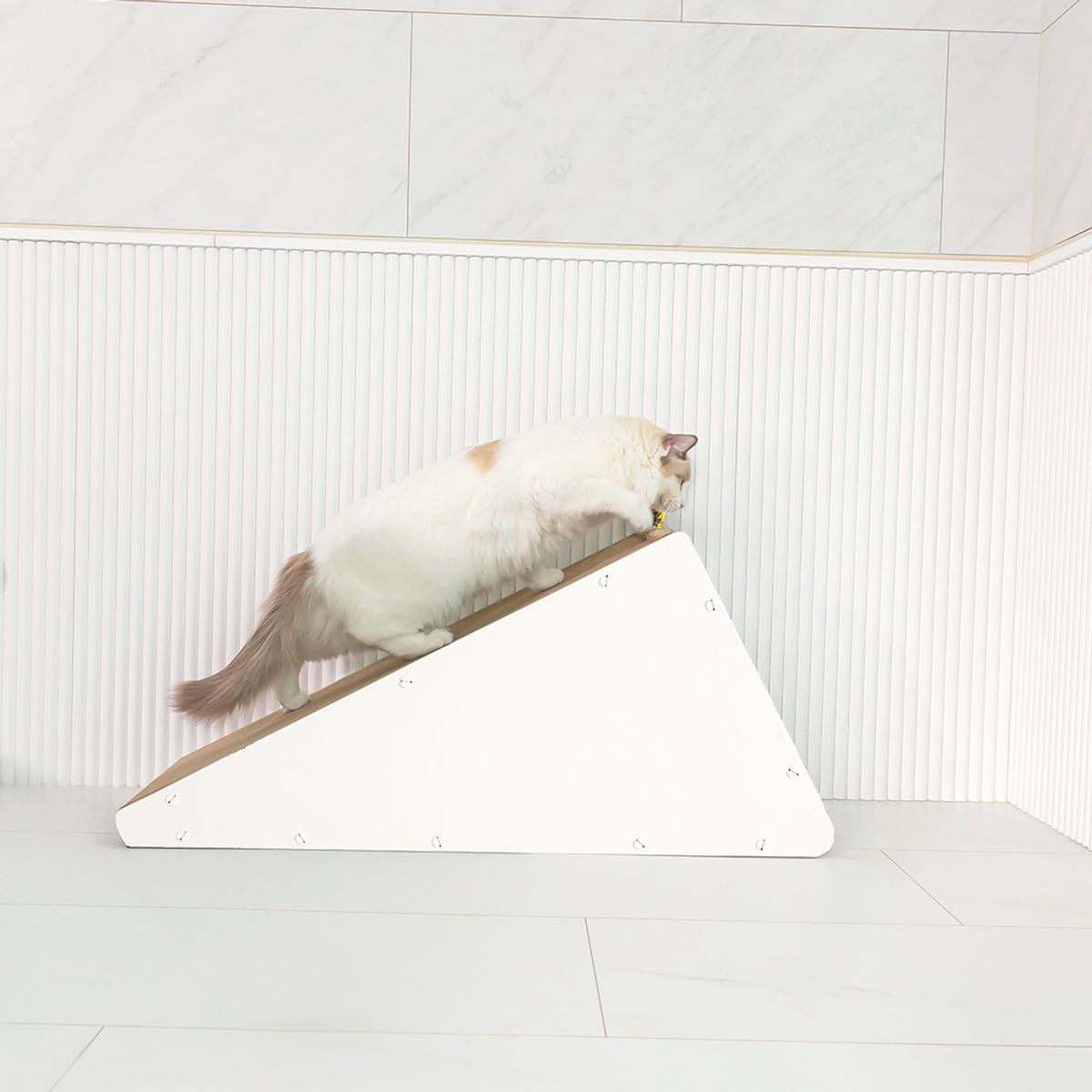 레토(LETO) 수직 고양이 스크래처 숨숨집 하우스