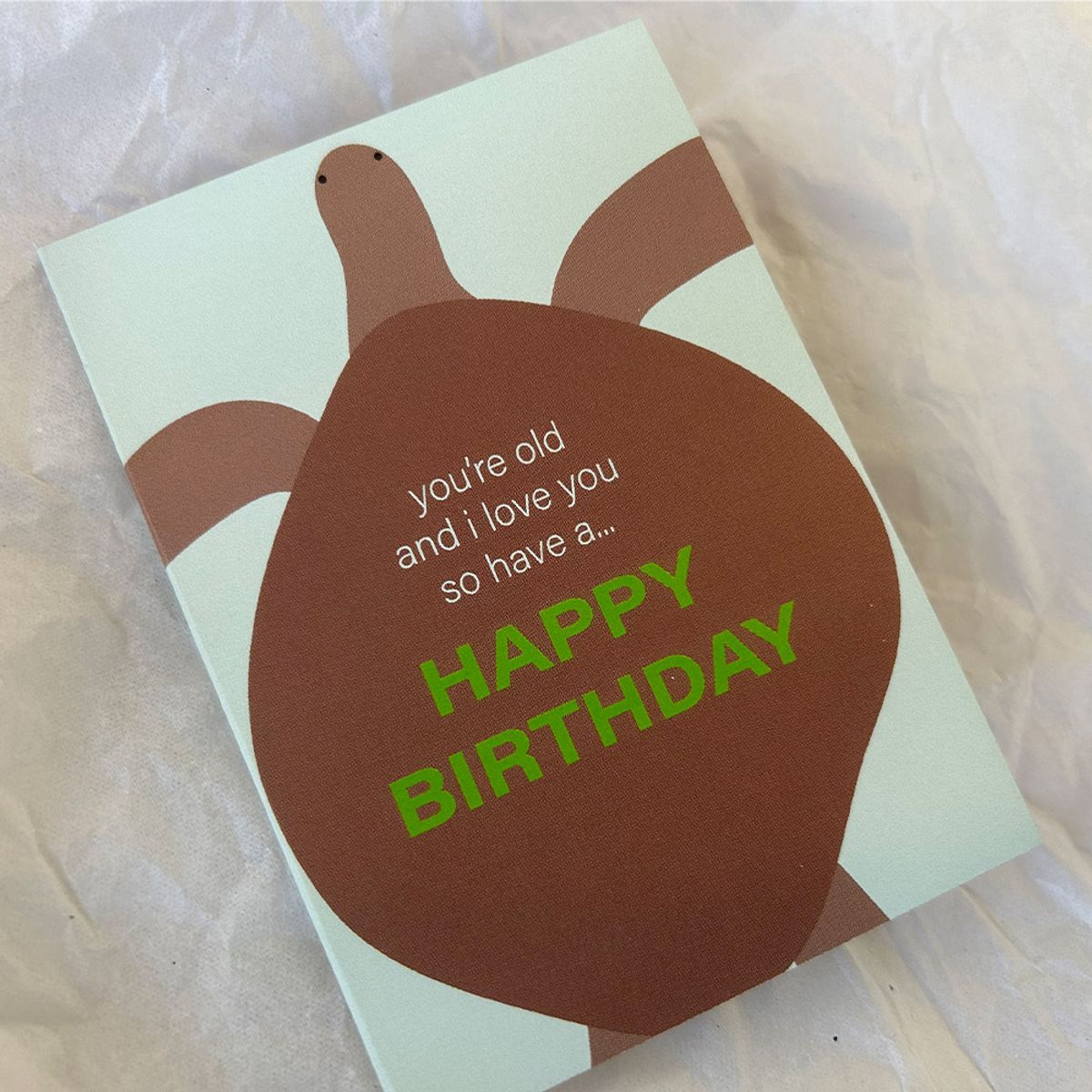 콩주편지(KONGJUDESIGNS) 거북이 생일 카드