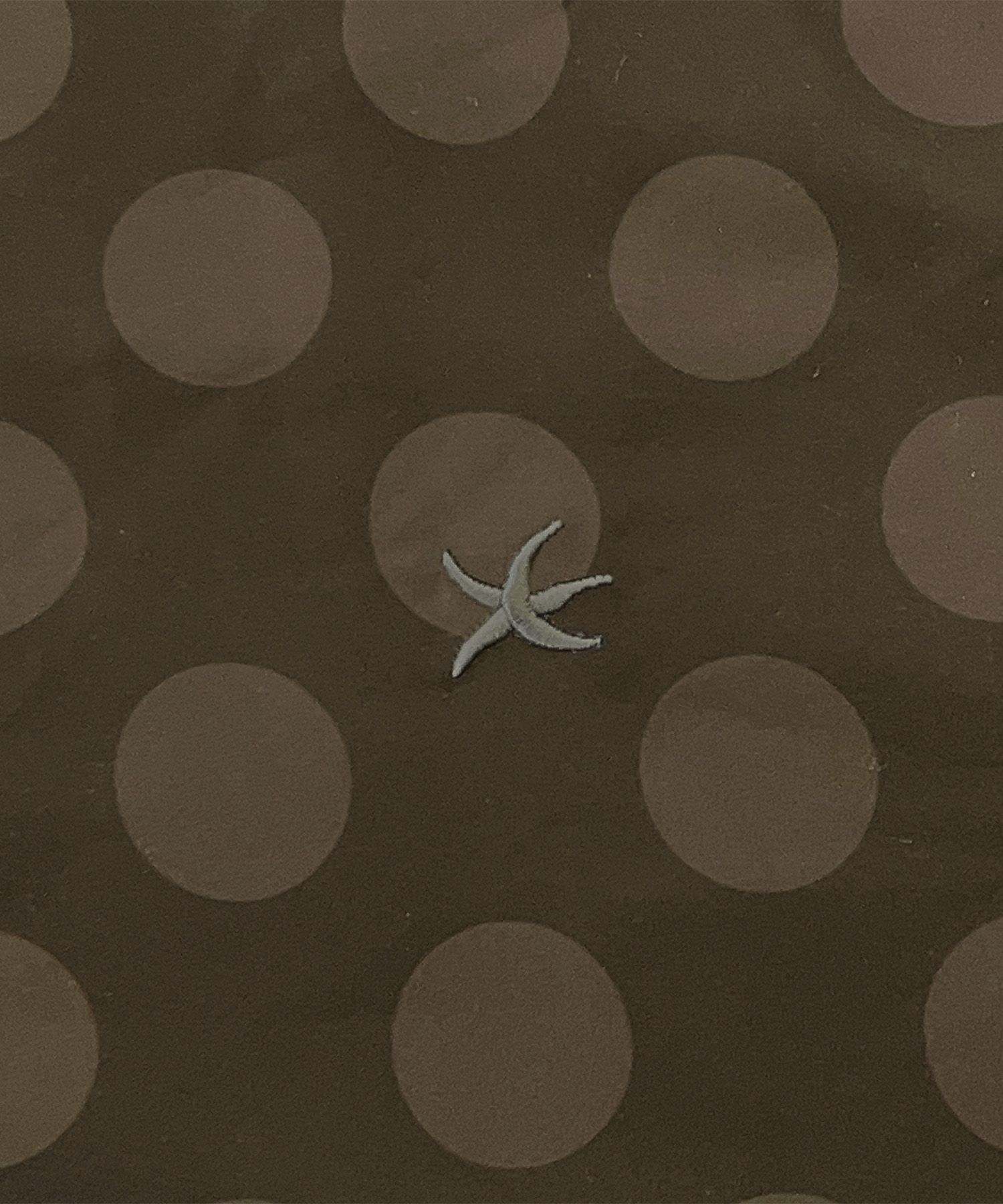 MUSINSA | THE COLDEST MOMENT TCM dot windstopper (brown)
