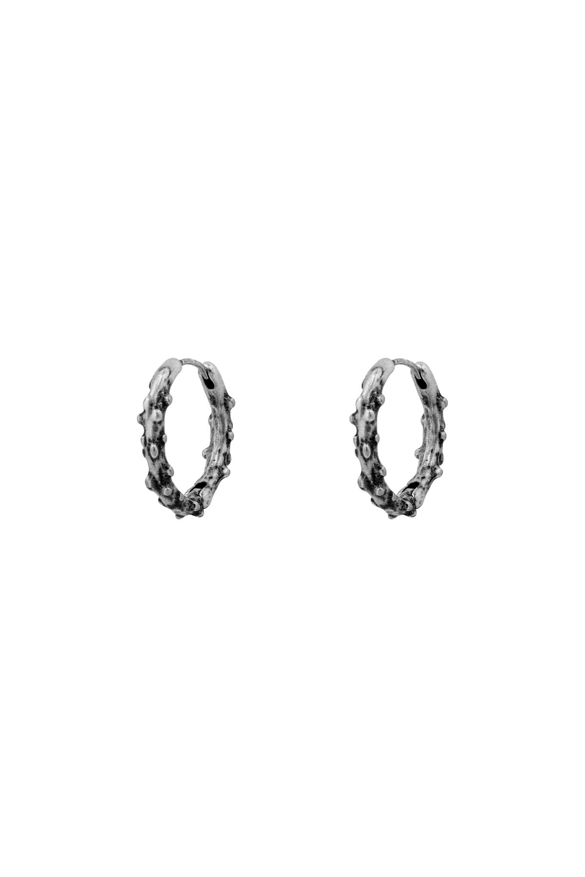 센티멍(SENTIMENTS) NO.614 [BURNISH] EARRING