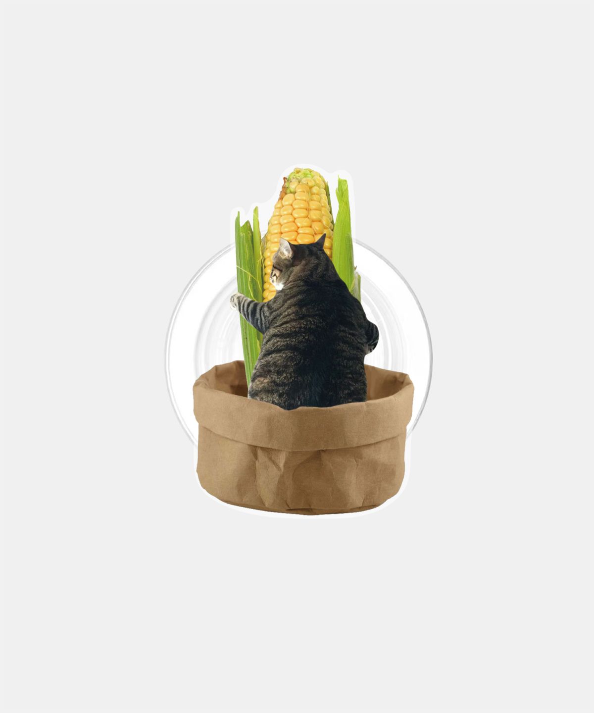 소유템(SOUTEM) [Magsafe] Supermarket cat Acrylic Tok