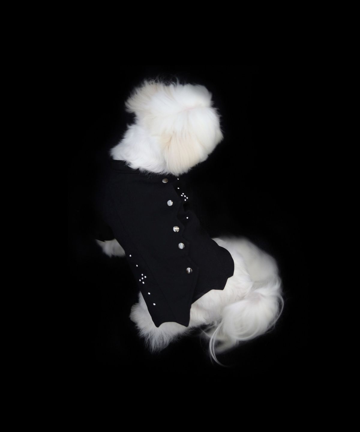 커프(CUFF) stud trucker jacket