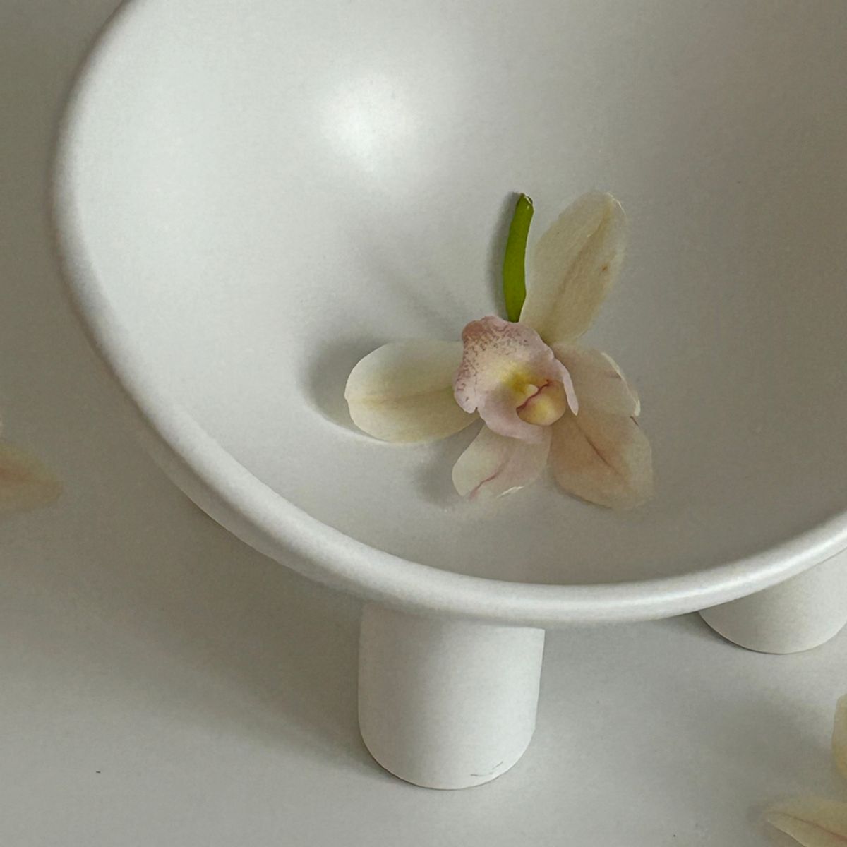 앨리건트 테이블(ELEGANT TABLE) 젠 하프문 무광 오브제 트레이 선물세트 2color