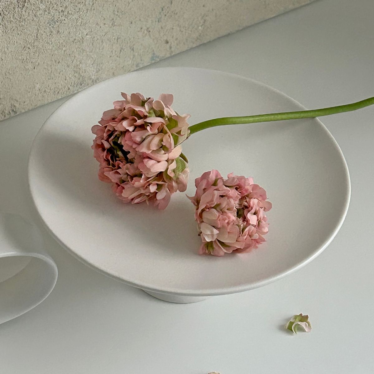 앨리건트 테이블(ELEGANT TABLE) 젠 무광 티타임 3p선물세트