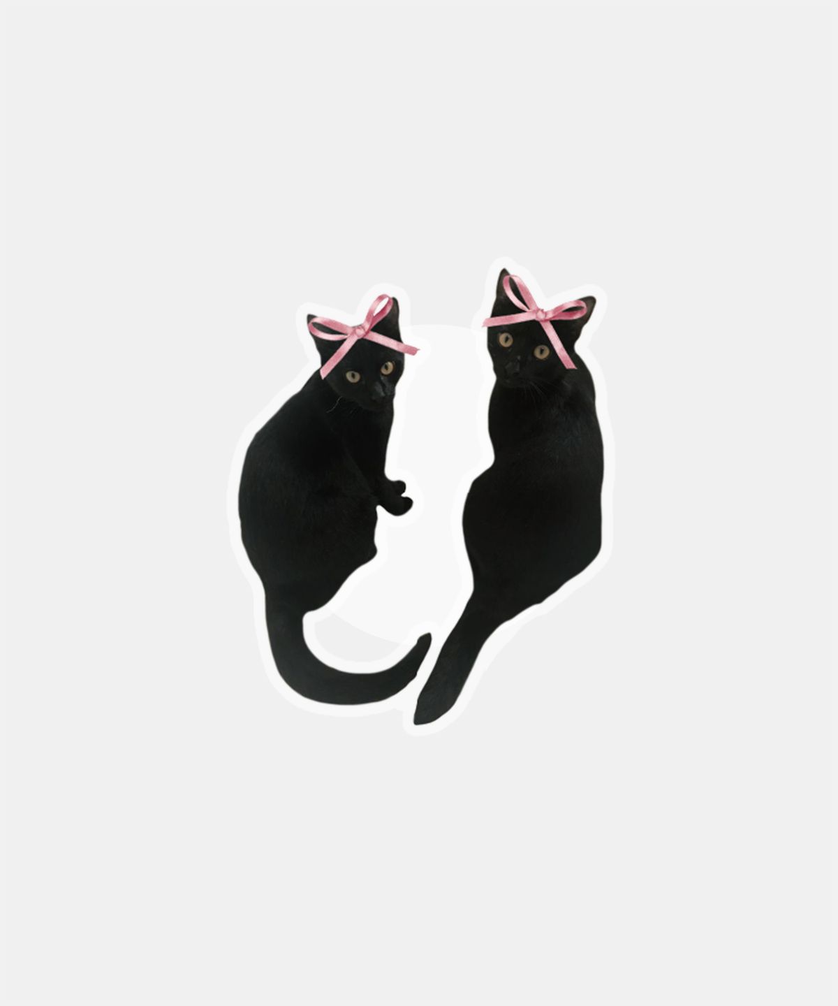 소유템(SOUTEM) Ribbonit Acrylic Tok