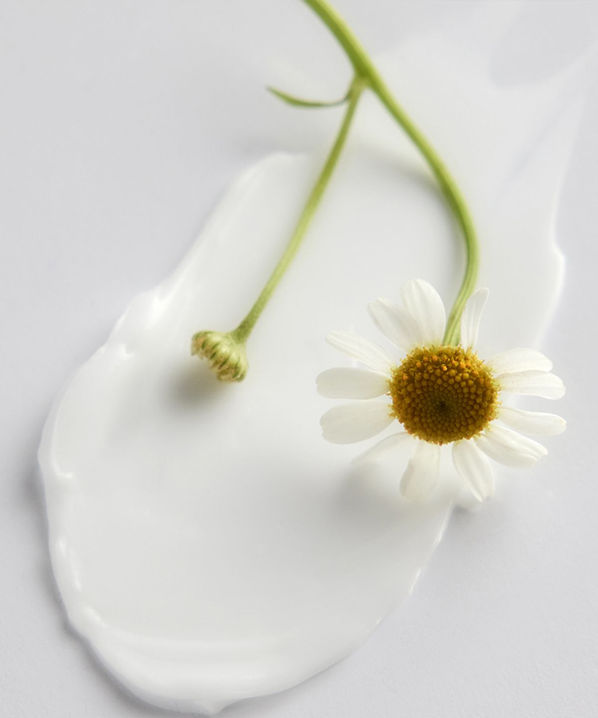 에센허브(ESSENHERB) 애니타임 퀵 멀티 크림 100ml