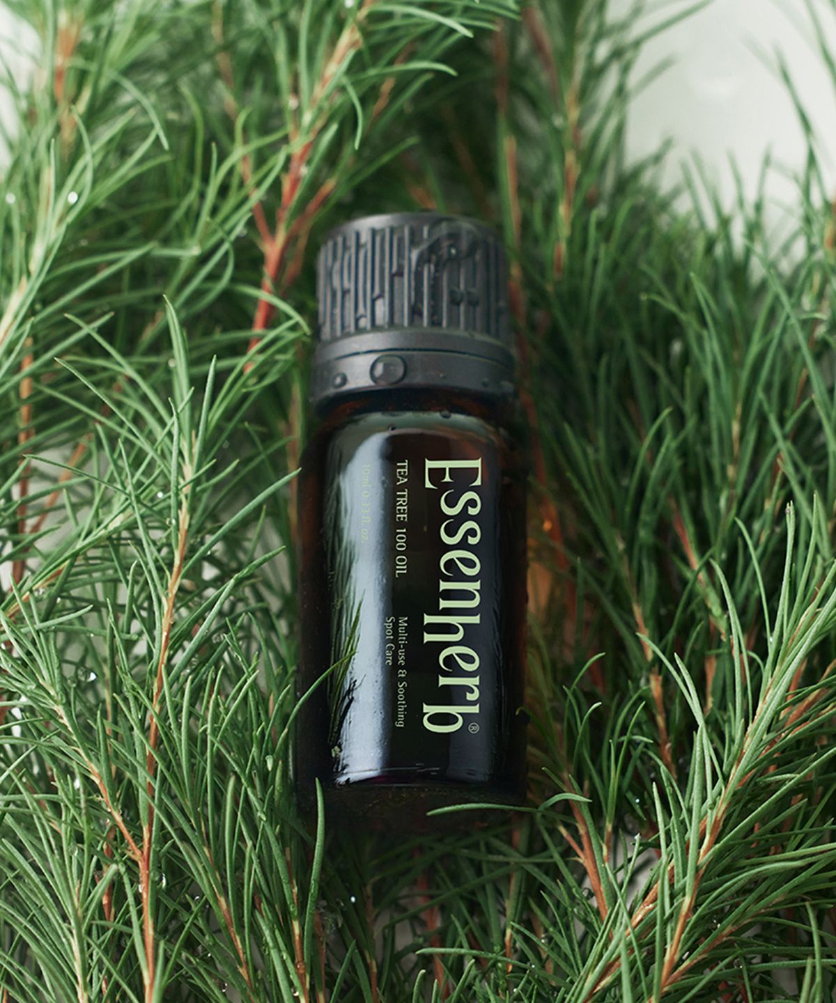 에센허브(ESSENHERB) 에센허브 티트리 100 오일 10ml x 2EA