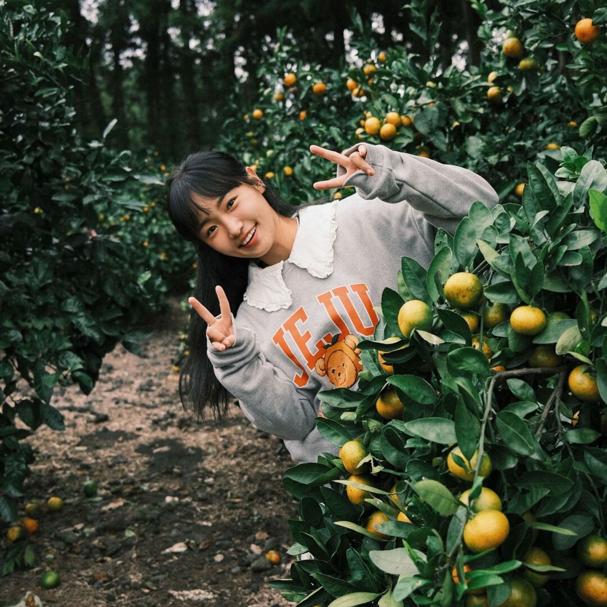 아일랜드 프로젝트(ISLAND PROJECT) Mandarine Bear Jeju Head Sweatshirt - Gray