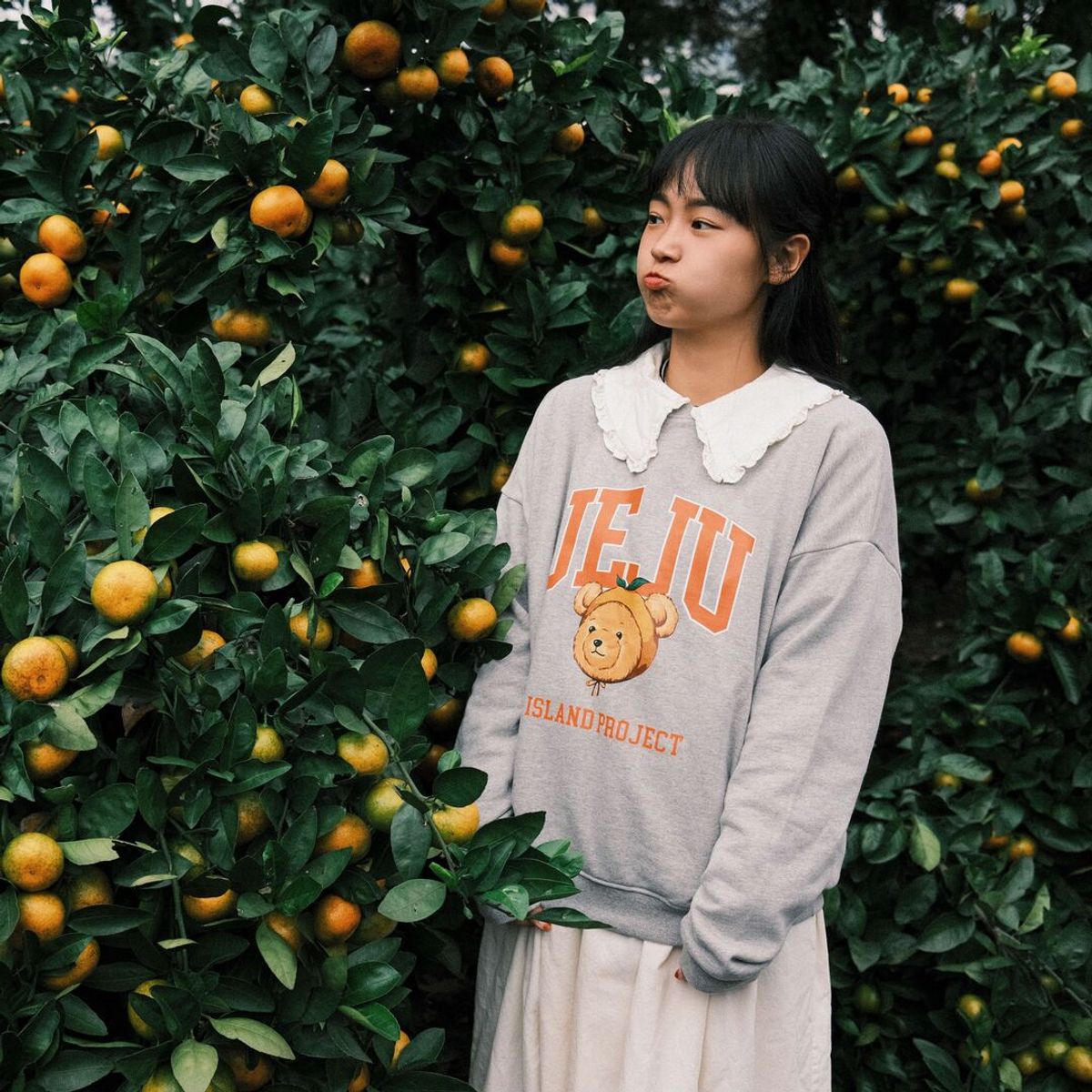 아일랜드 프로젝트(ISLAND PROJECT) Mandarine Bear Jeju Head Sweatshirt - Gray