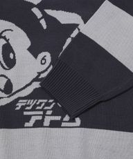 Thumbnail 12