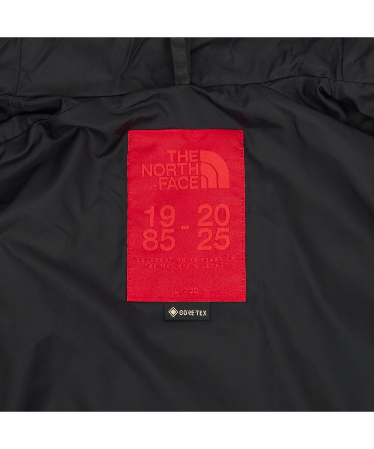 노스페이스(THE NORTH FACE) NJ2GR01B 남성 1985 고어텍스 마운틴 자켓 DARK_GRAY