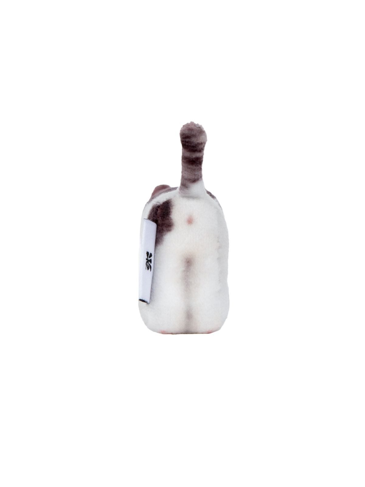 소프트썸네일(SOFTTHUMBNAIL) Milk, Domestic Shorthair
