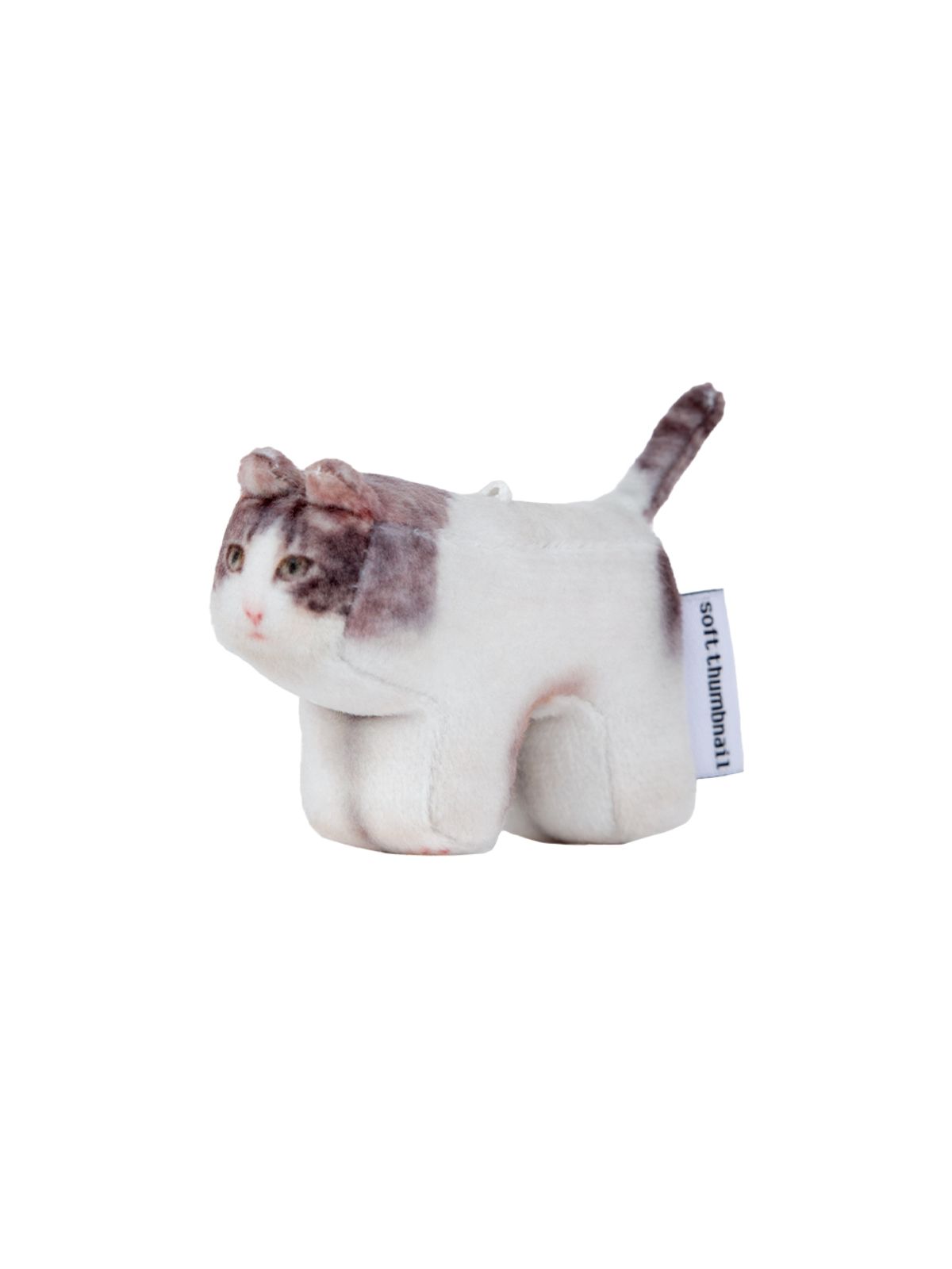소프트썸네일(SOFTTHUMBNAIL) Milk, Domestic Shorthair