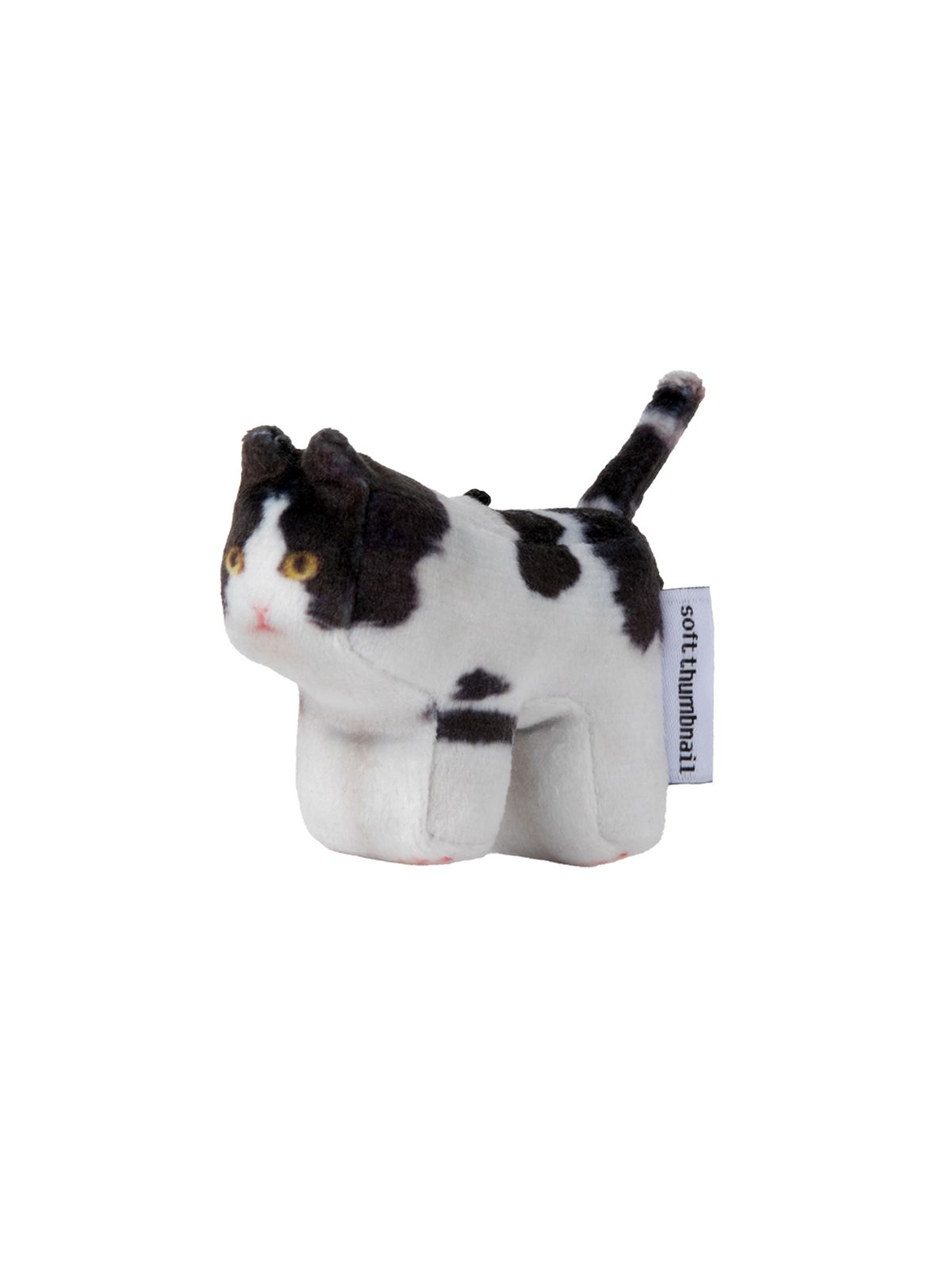 소프트썸네일(SOFTTHUMBNAIL) Mumu, Domestic Shorthair