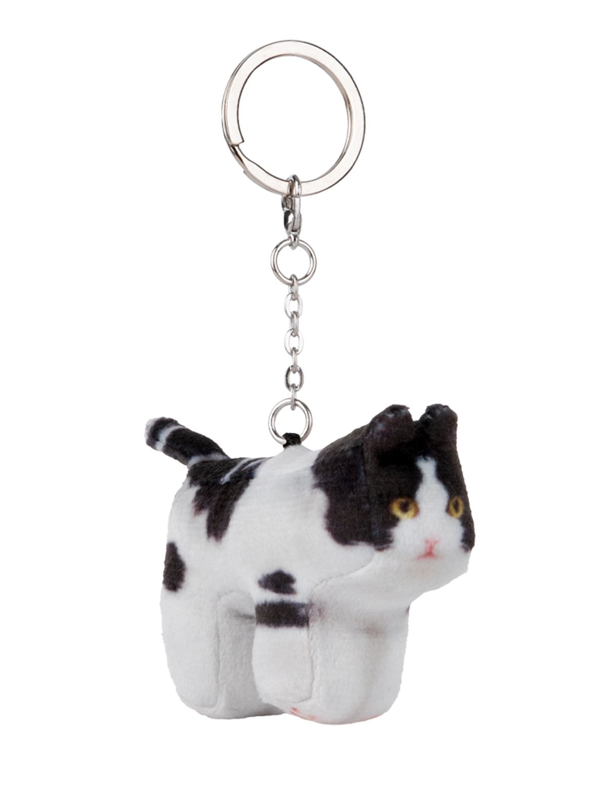 소프트썸네일(SOFTTHUMBNAIL) Mumu, Domestic Shorthair