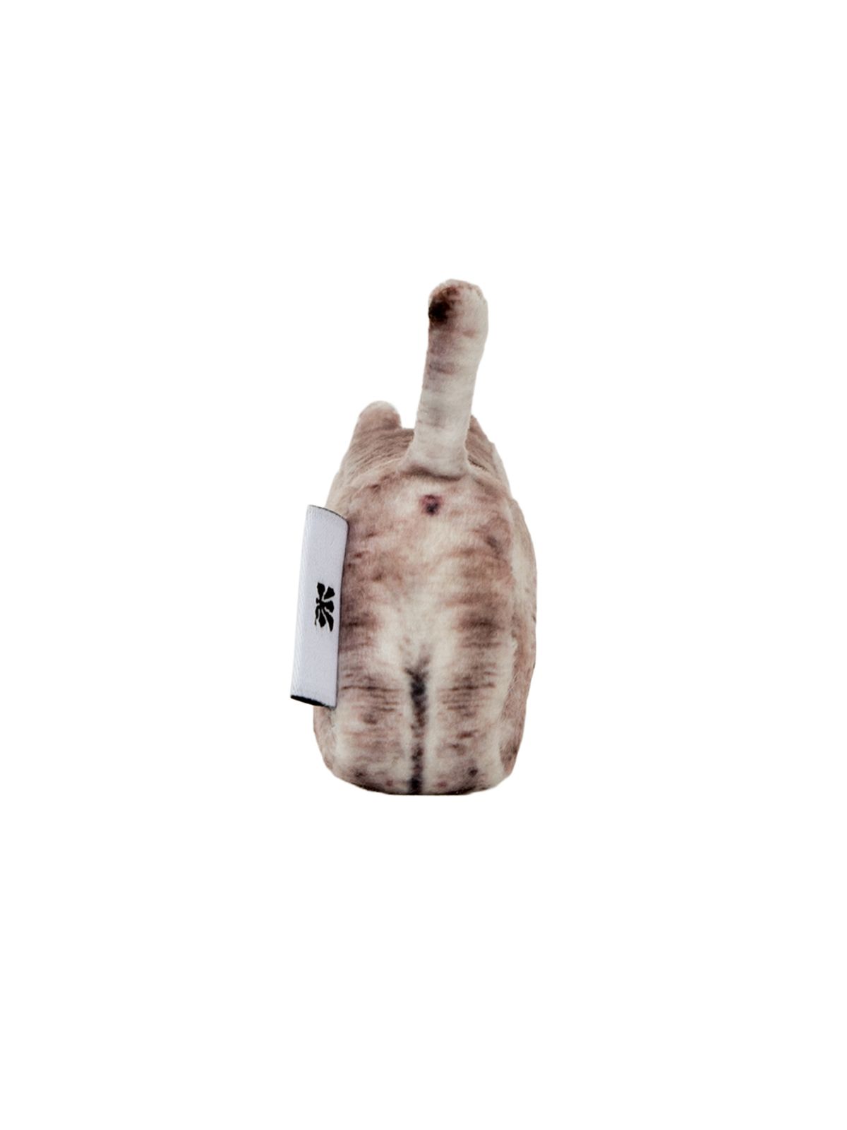 소프트썸네일(SOFTTHUMBNAIL) Moca, British Shorthair