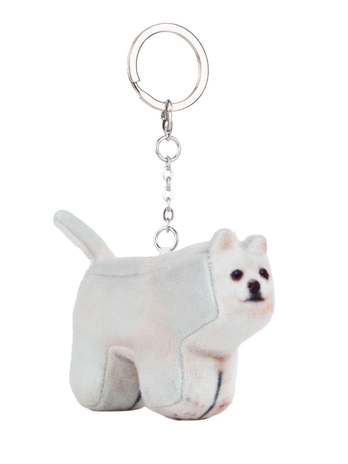 소프트썸네일(SOFTTHUMBNAIL) Hodu, Pomeranian