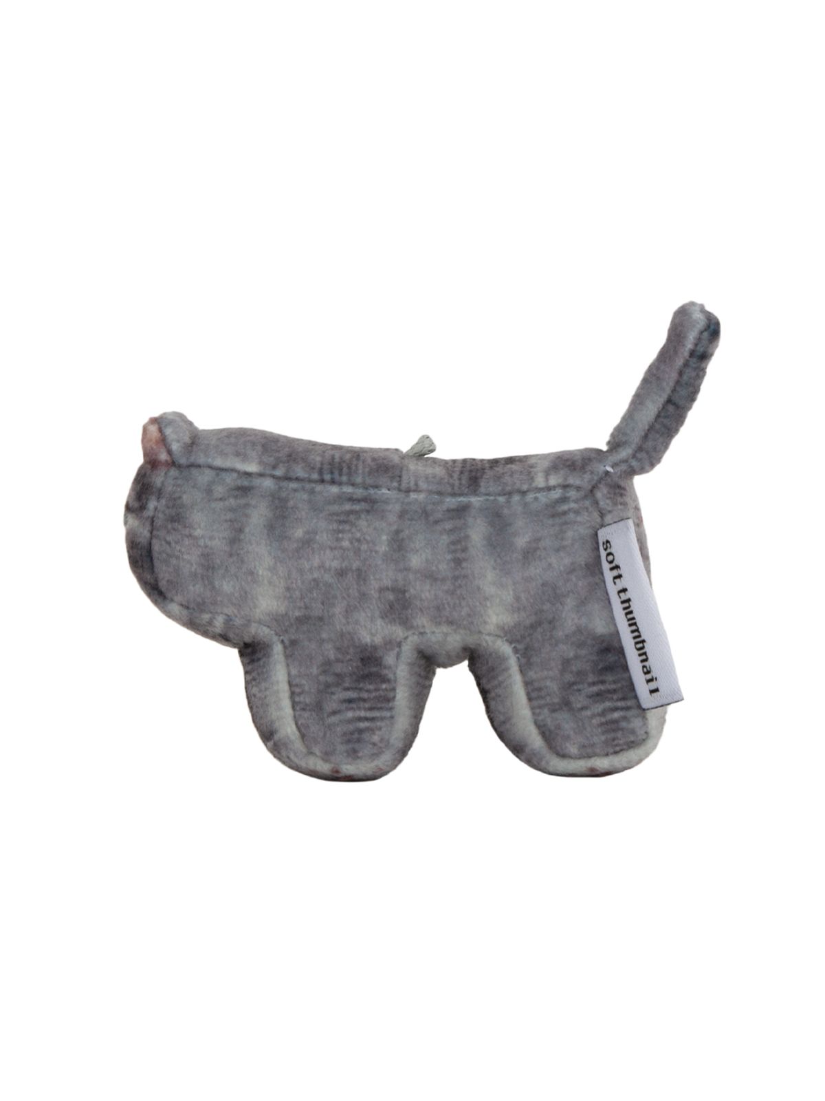 소프트썸네일(SOFTTHUMBNAIL) Jiji, Russian Blue