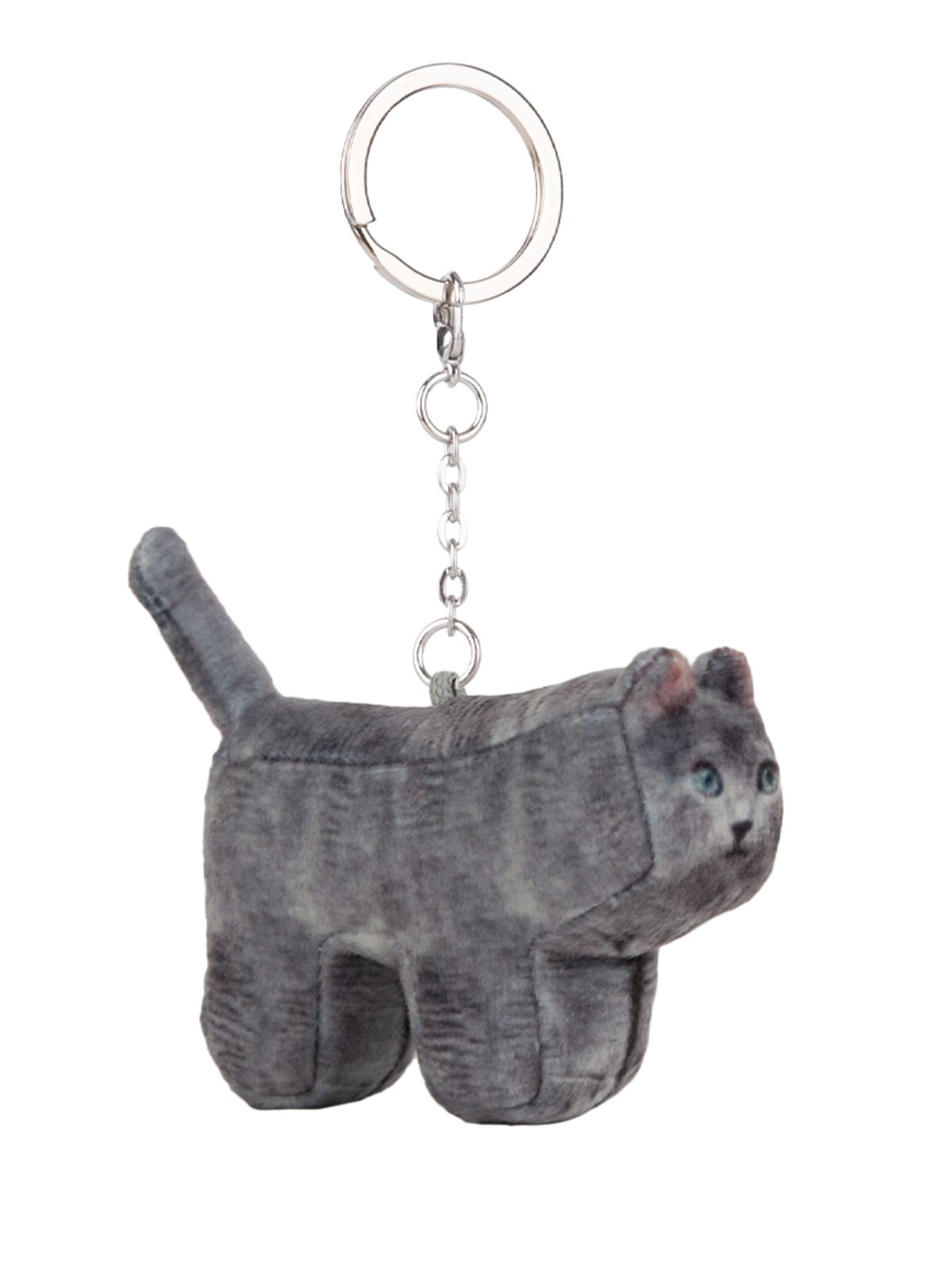 소프트썸네일(SOFTTHUMBNAIL) Jiji, Russian Blue