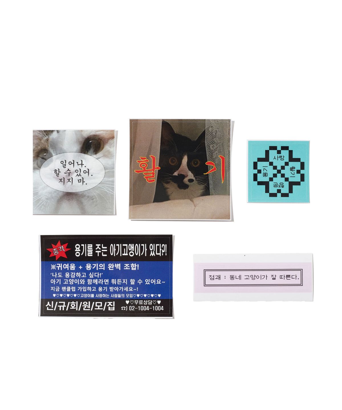 잇자바이브(ITZAVIBE) CAT LUCK CHARM - ENERGY
