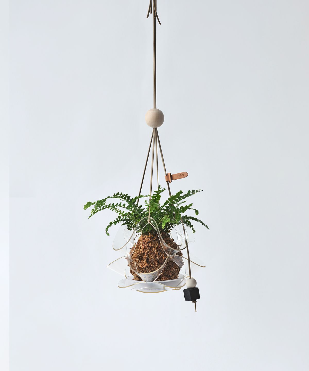 플랫츠(PLATS) 행잉 식물 화분 팟커버 댕글(DANGLE) 6colors / P size