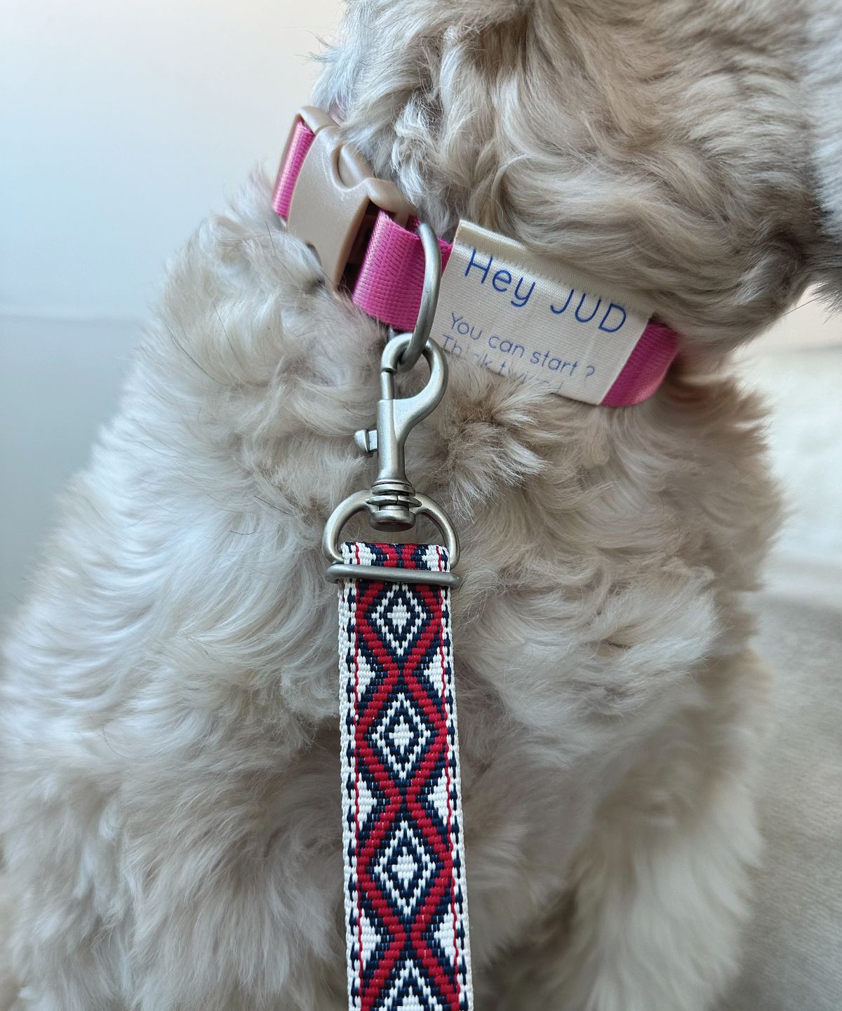 헤이쥬드(HEYJUD) Chill Girl RADU Collar Set 칠걸 라두 목줄 세트 (Red_N)