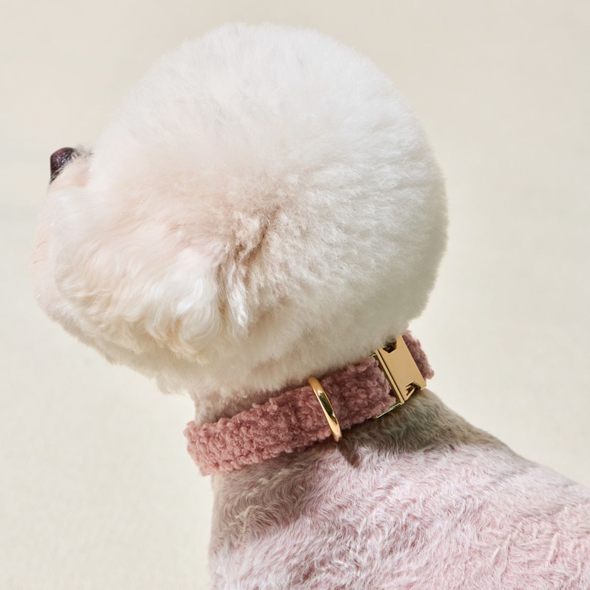 개과천선(GAEKWACHEONSUN) 펄넥 강아지 목줄