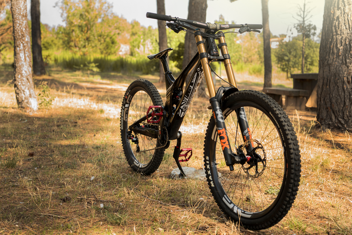 페달레(PEDALE) AMS Honeycomb Frame Guard Extra. RONIN