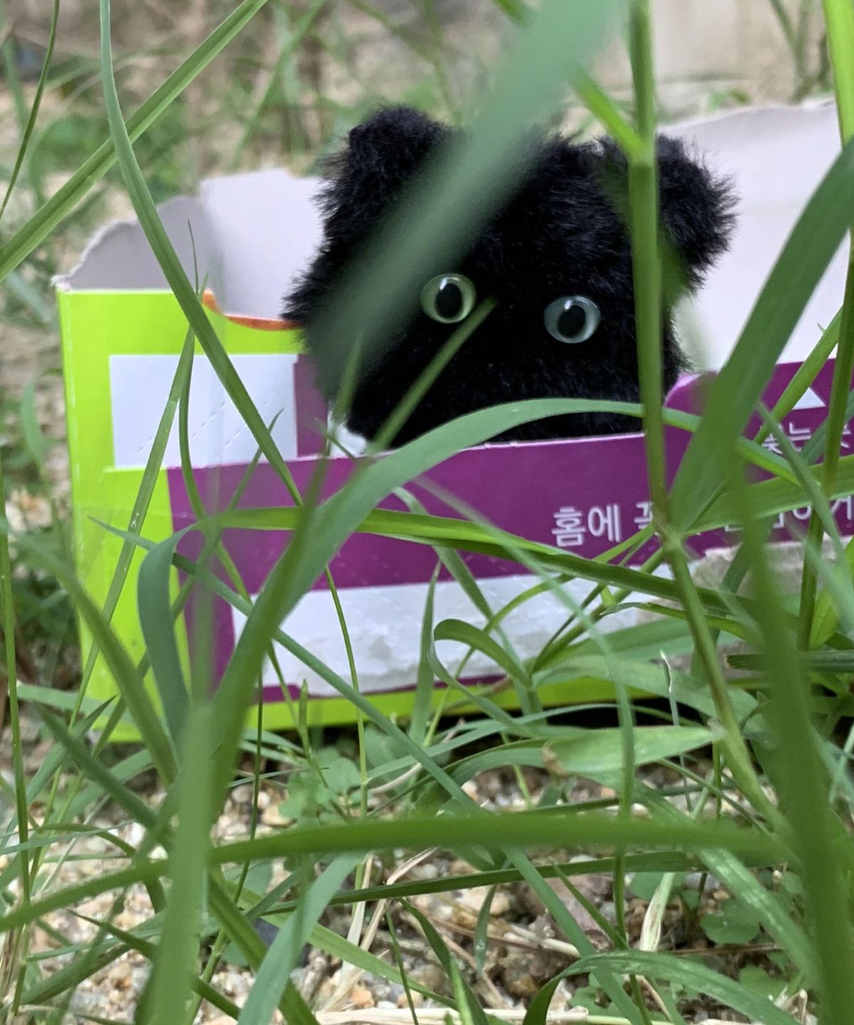 커스터미(CUSTOMI) 오드아이 탄냥이 그립 톡 홀더 맥세이프