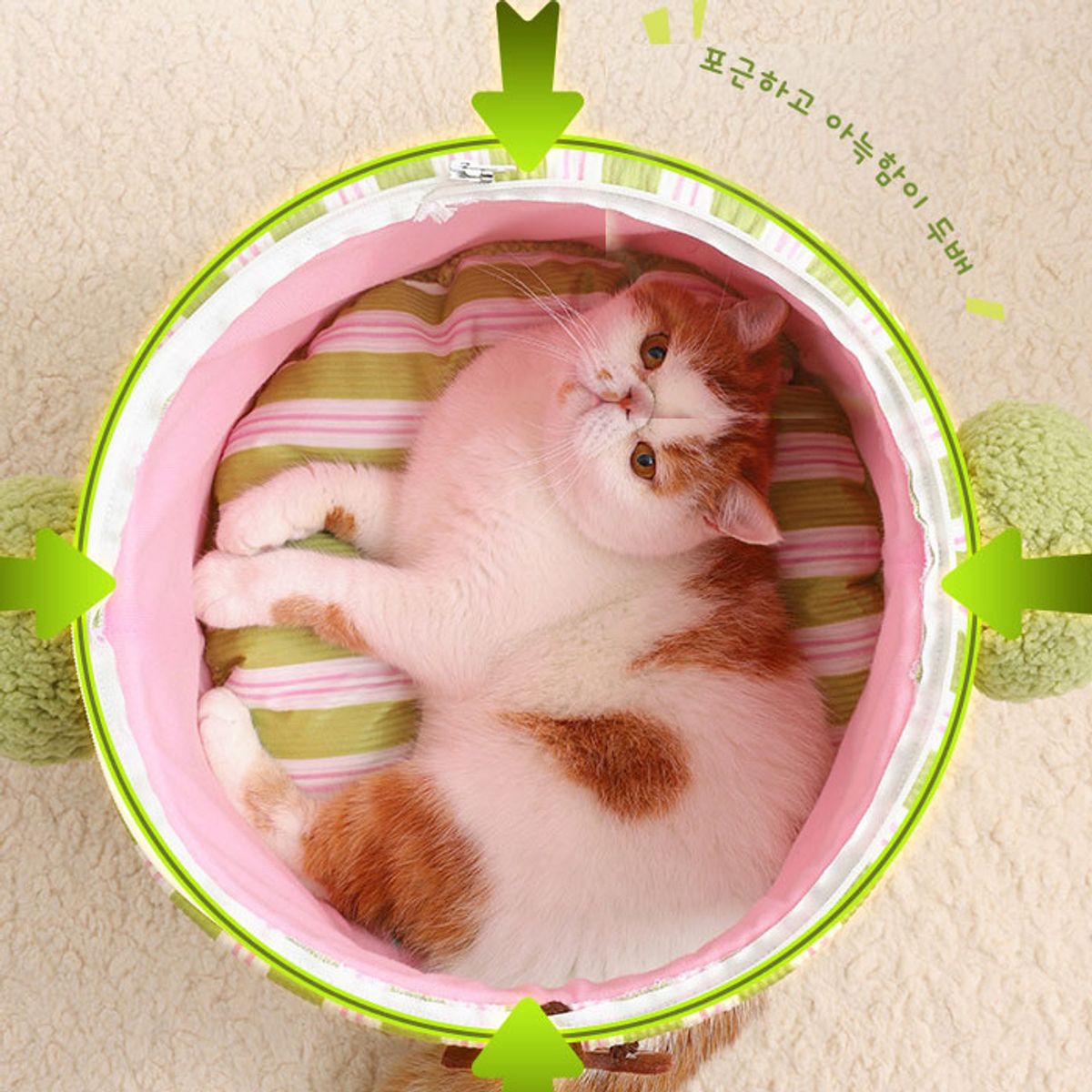 개과천선(GAEKWACHEONSUN) 브콜리 고양이 하우스