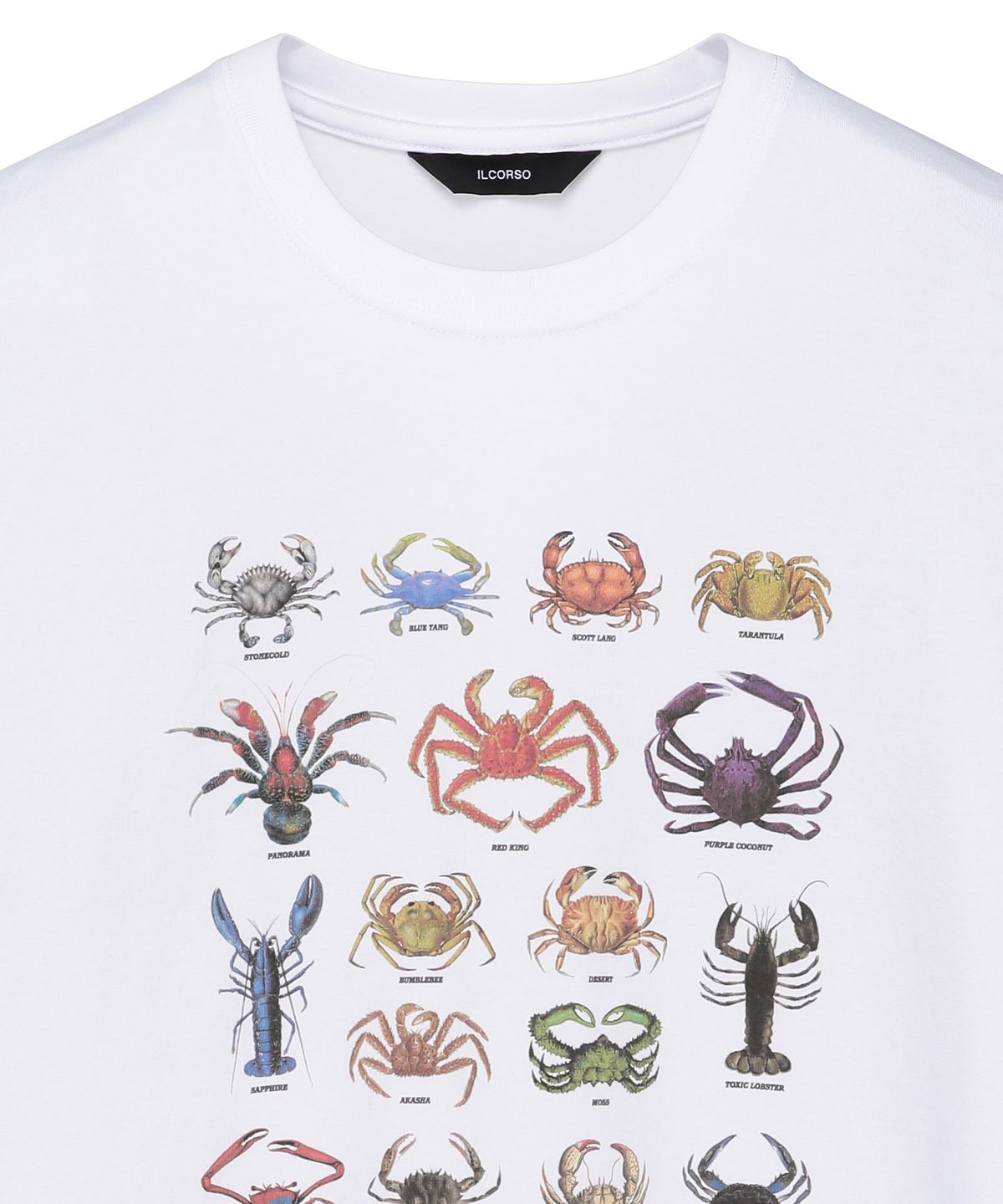 일꼬르소(IL CORSO) CRABSTAR 크롭 반팔 티셔츠 화이트 IETS5E408WT
