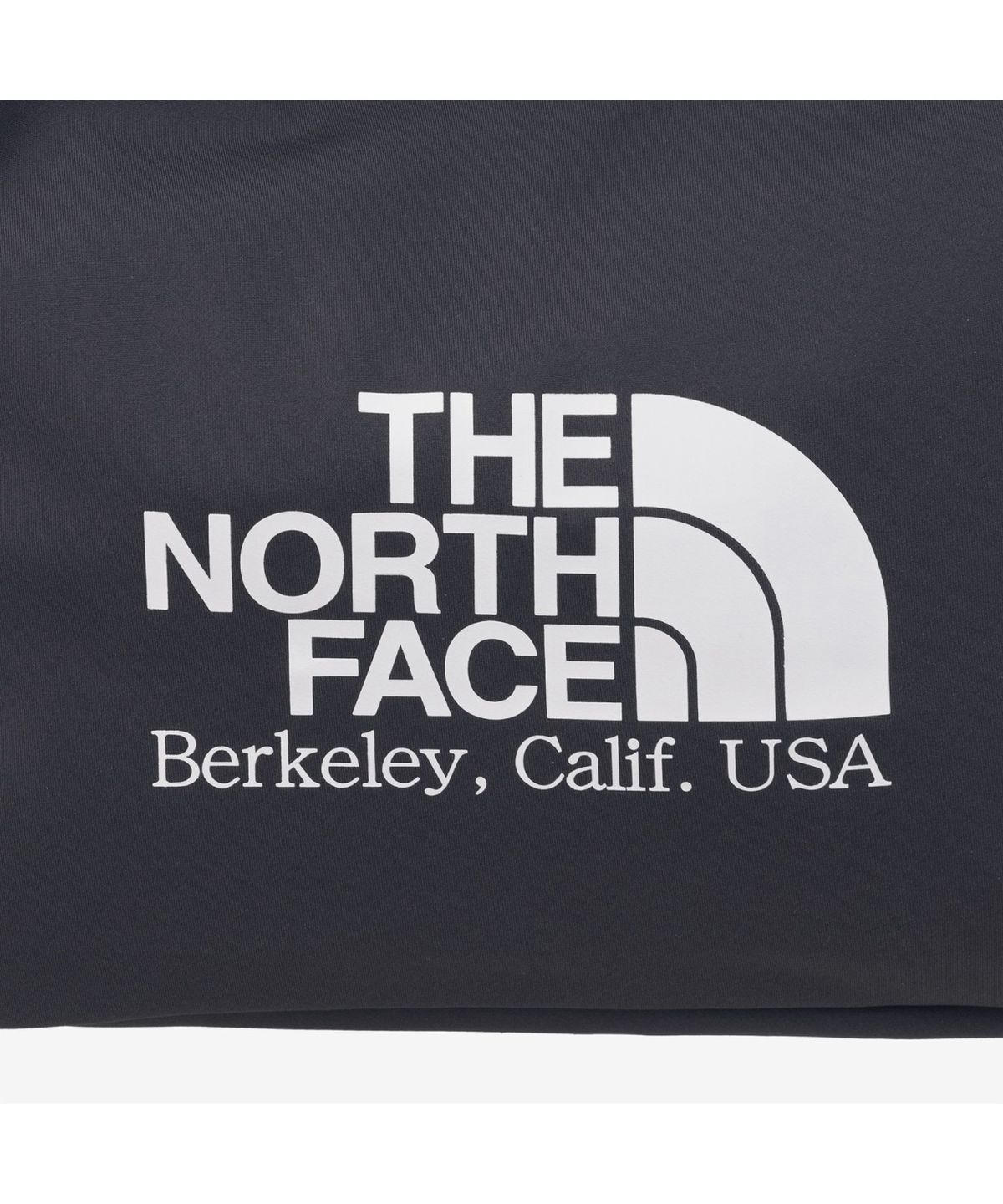 노스페이스(THE NORTH FACE) NN2PR21P 빅 로고 숄더 백 DARK_GRAY