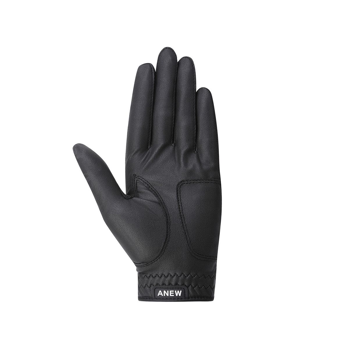 어뉴골프(ANEW GOLF) WOMEN PAIR MESH LOGO POINT GLOVE_BK