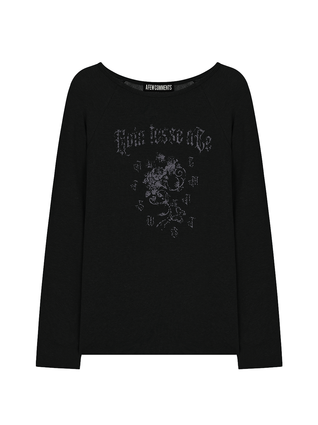 セール】Sheer Raglan Long T-shirts（Tシャツ/カットソー