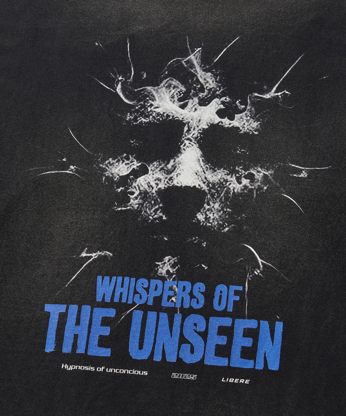 리베레(LIBERE) WHISPERS OF THE UNSEEN LONG SLEEVE TEE / BLACK