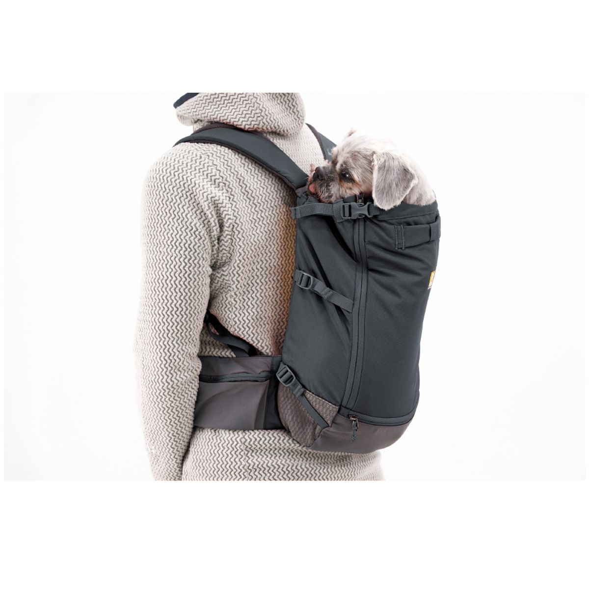 러프웨어(RUFFWEAR) 히치 하이커 반려견 백팩 캐리어(Hitch Hiker™ Backpack Carrier)