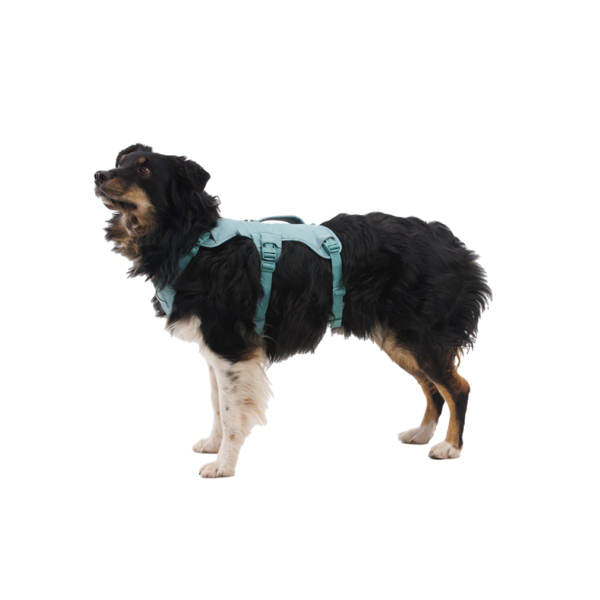 러프웨어(RUFFWEAR) 웹 마스터 하네스(Web Master™ Harness )