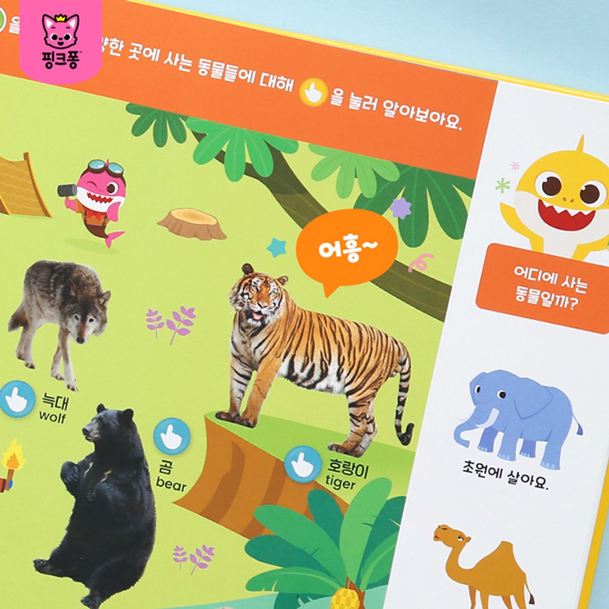 핑크퐁(PINKFONG) 아기상어 첫 사운드 터치북+베베핀 사운드 터치북
