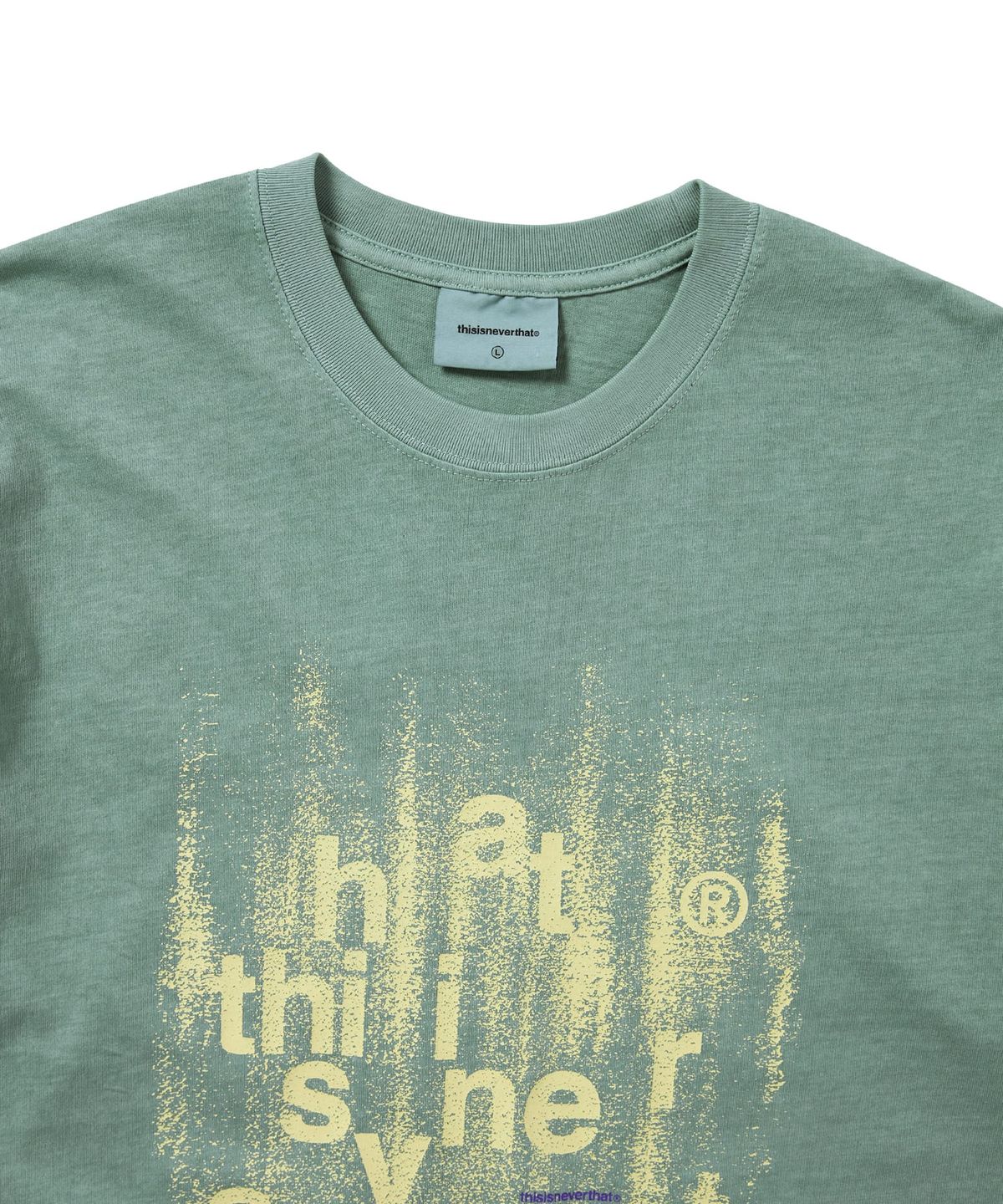 디스이즈네버댓(THISISNEVERTHAT) Brushed Paint Tee Emerald