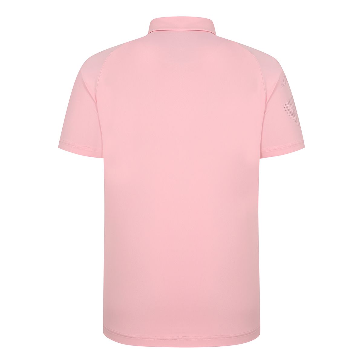 테일러메이드 어패럴(TAYLORMADE APPAREL) 남성 소매 빅로고 카라 반팔 티셔츠 T8031TO2741-403