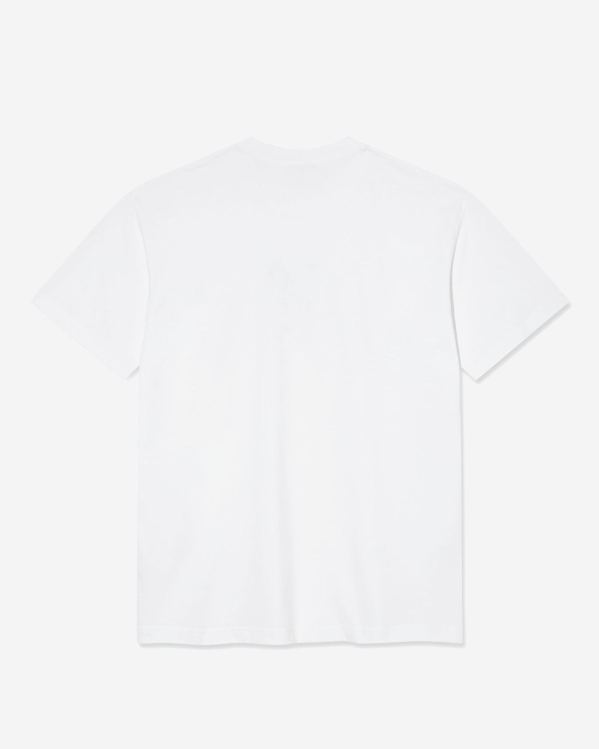 폴라(POLAR) WORLD DOMINATION TEE [WHITE]
