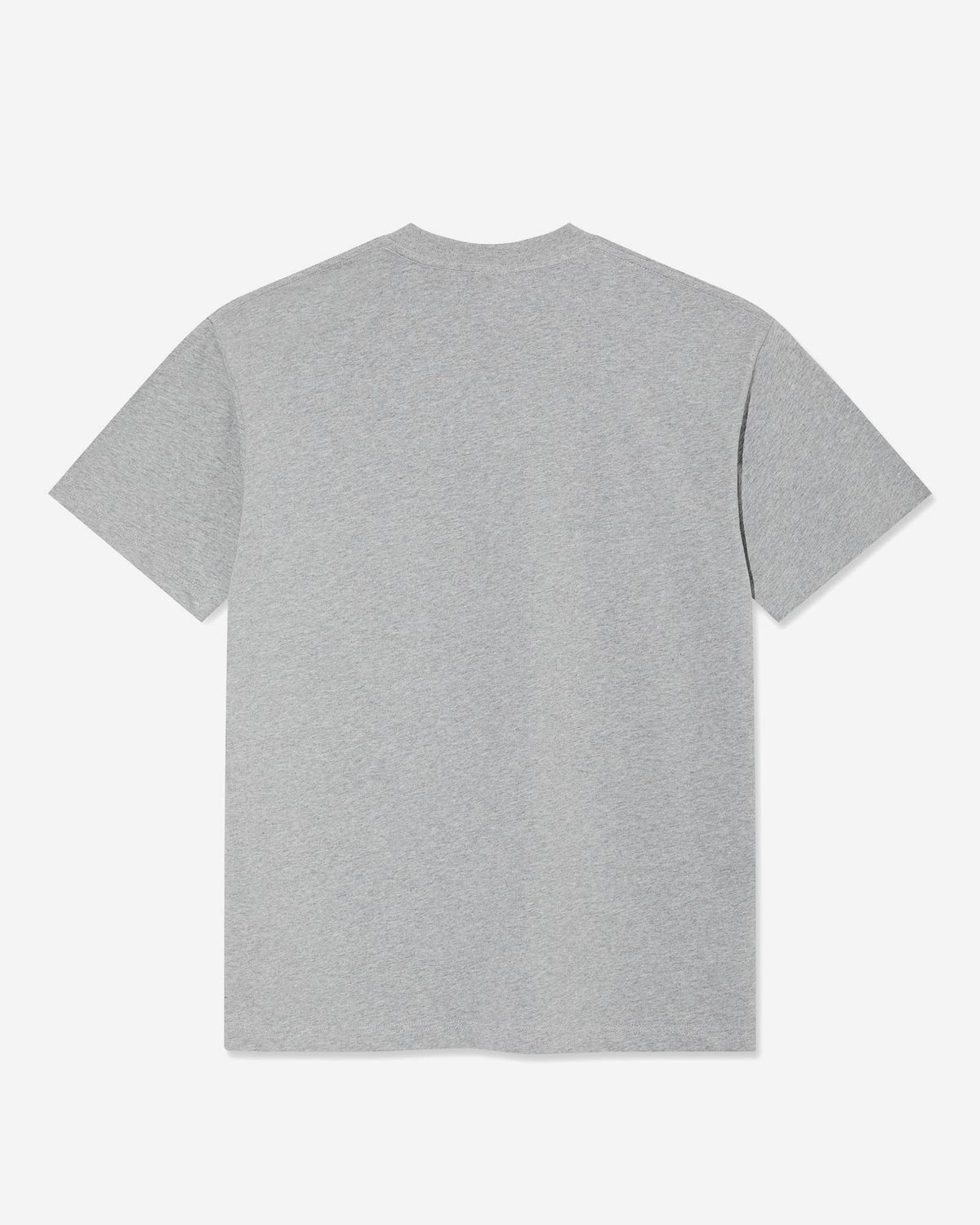 폴라(POLAR) WORLD DOMINATION TEE [HEATHER GREY]
