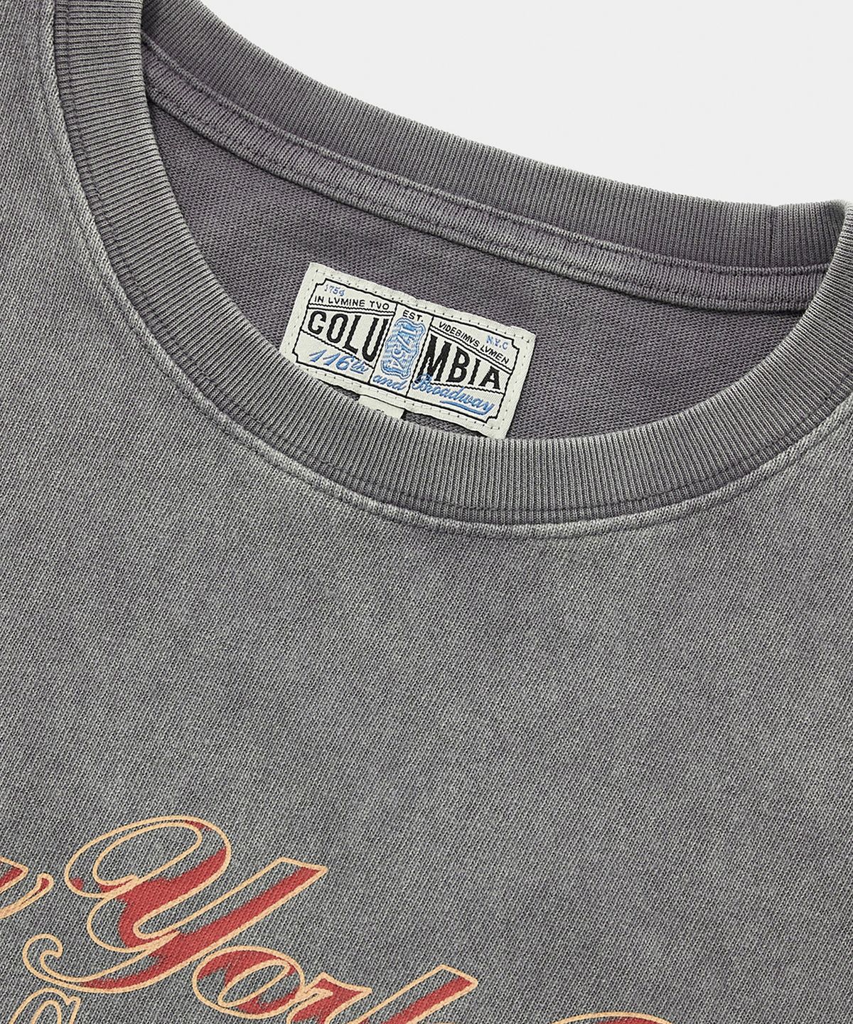 컬럼비아 유니버시티(COLUMBIA UNIVERSITY) CU CAMPUS MINERAL WASHED WOMEN S/S T-SHIRTS 그레이
