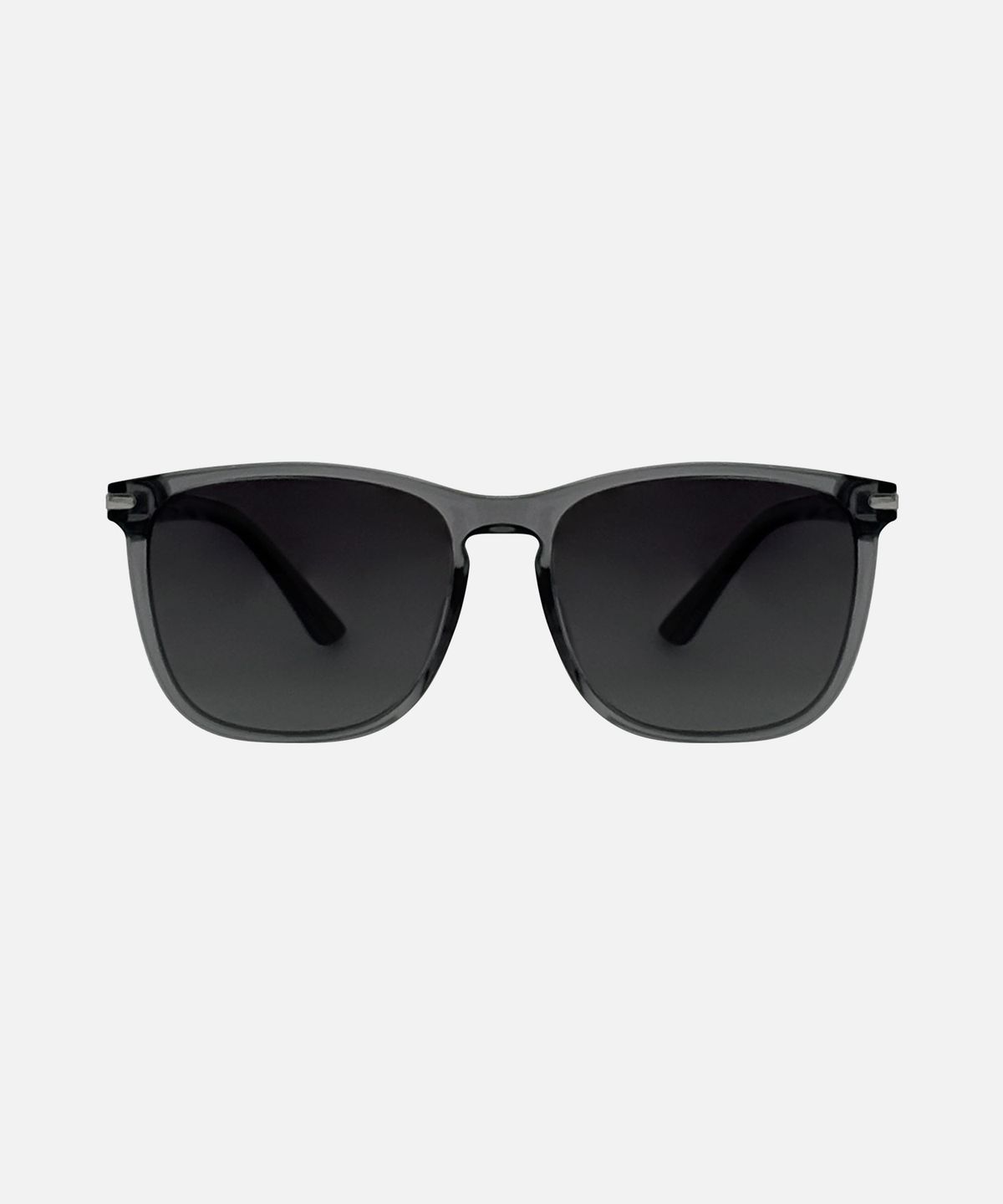 바스카라(VASCARA) MOLLY PLZ (3colors) SUNGLASSES