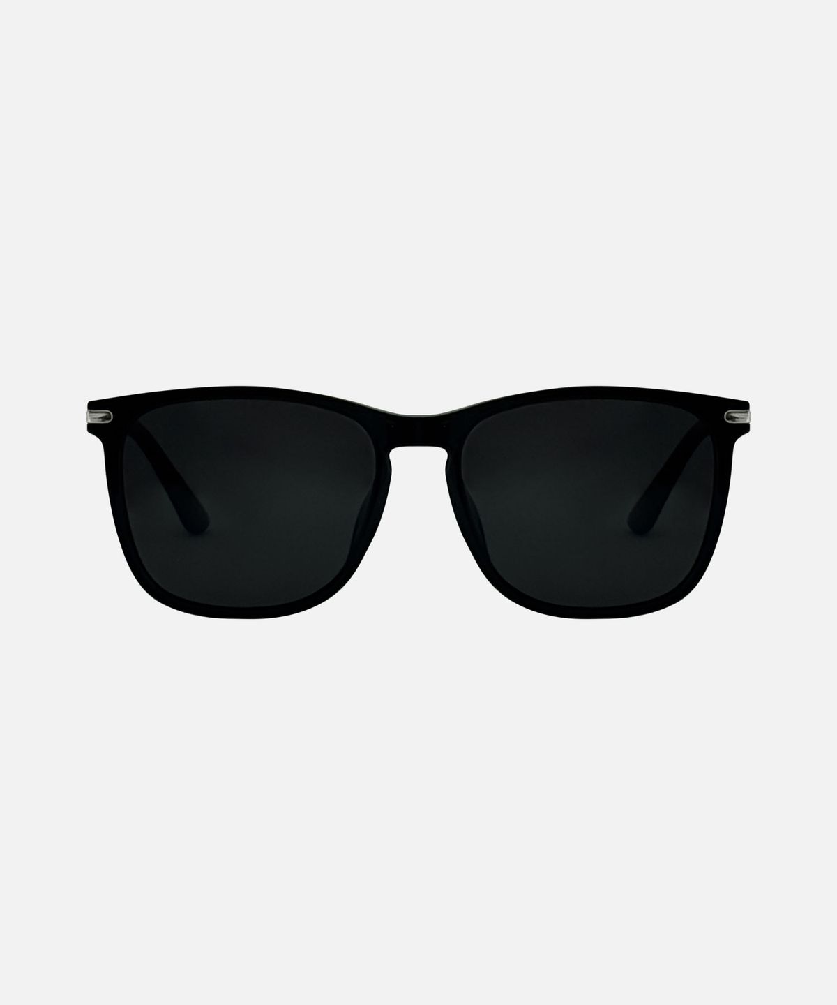 바스카라(VASCARA) MOLLY PLZ (3colors) SUNGLASSES