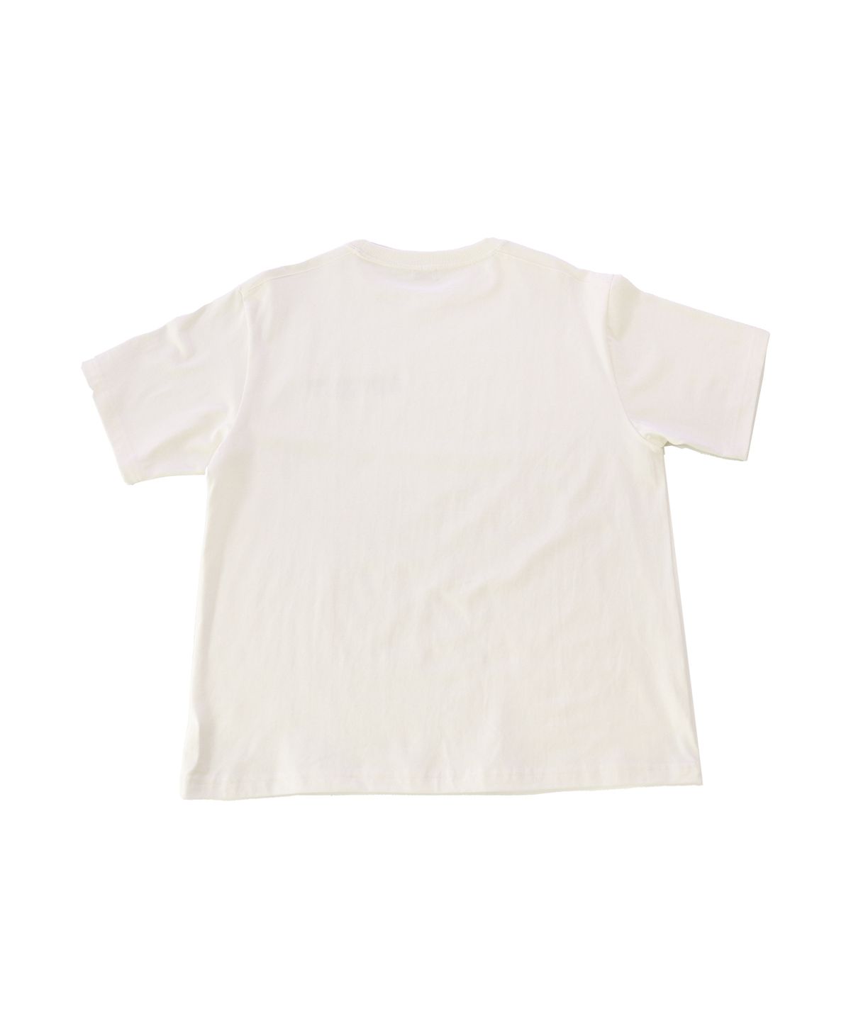 1011갤러리(1011 GALLERY) Artist Logo T-Shirts - Cream