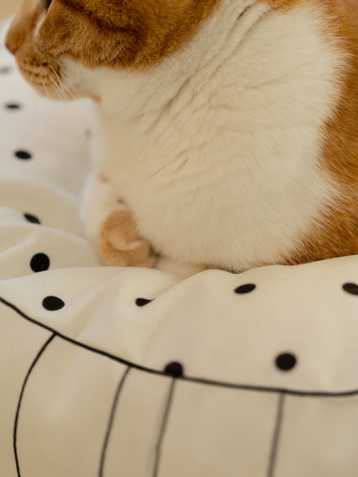 도르모르(DORMOR) 생활방수 패턴 고양이 강아지 원형 쿠션 커버