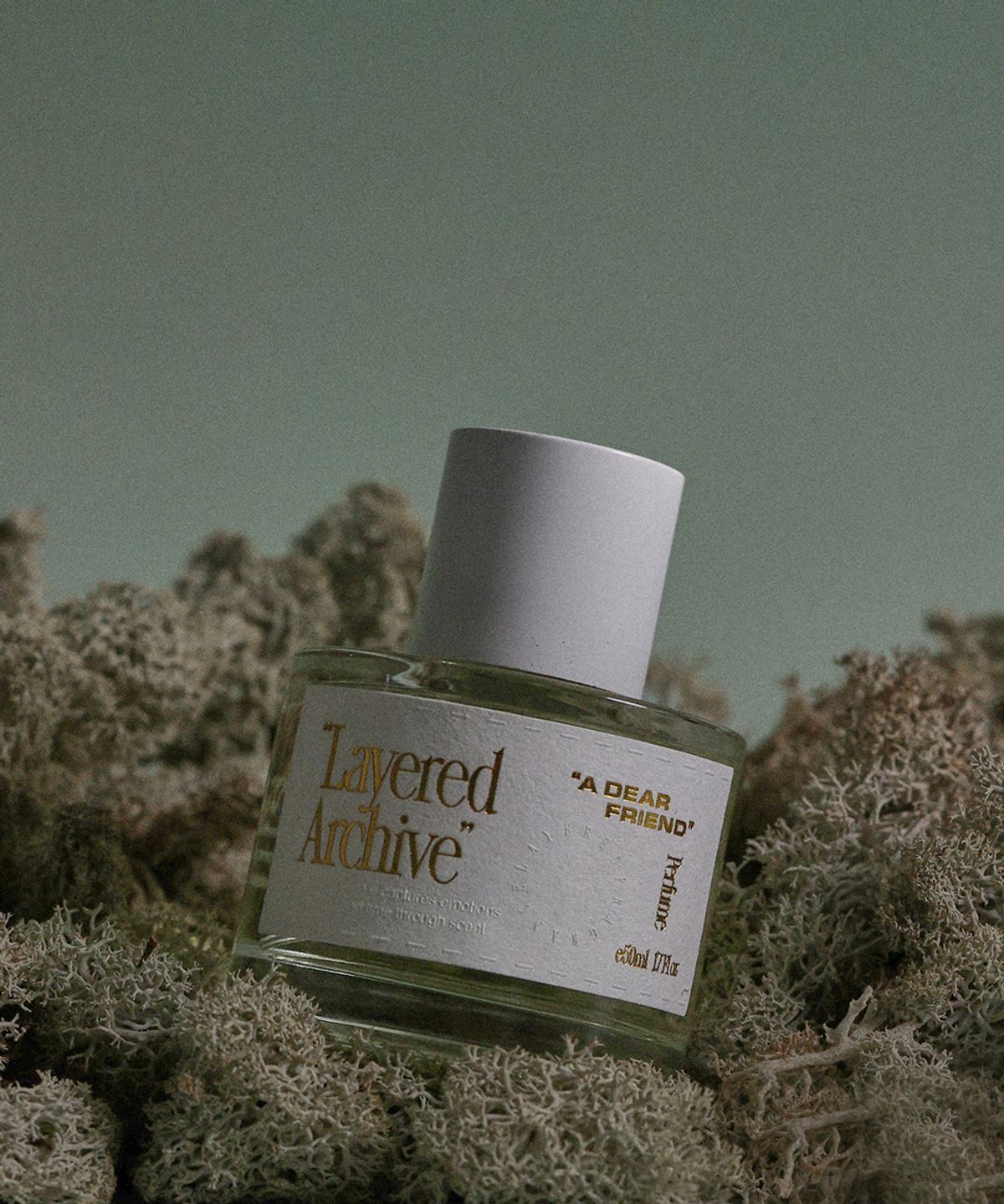 레이어드아카이브(LAYERED ARCHIVE) [시트러스 우디] 니치퍼퓸 어디어프렌드 50ml