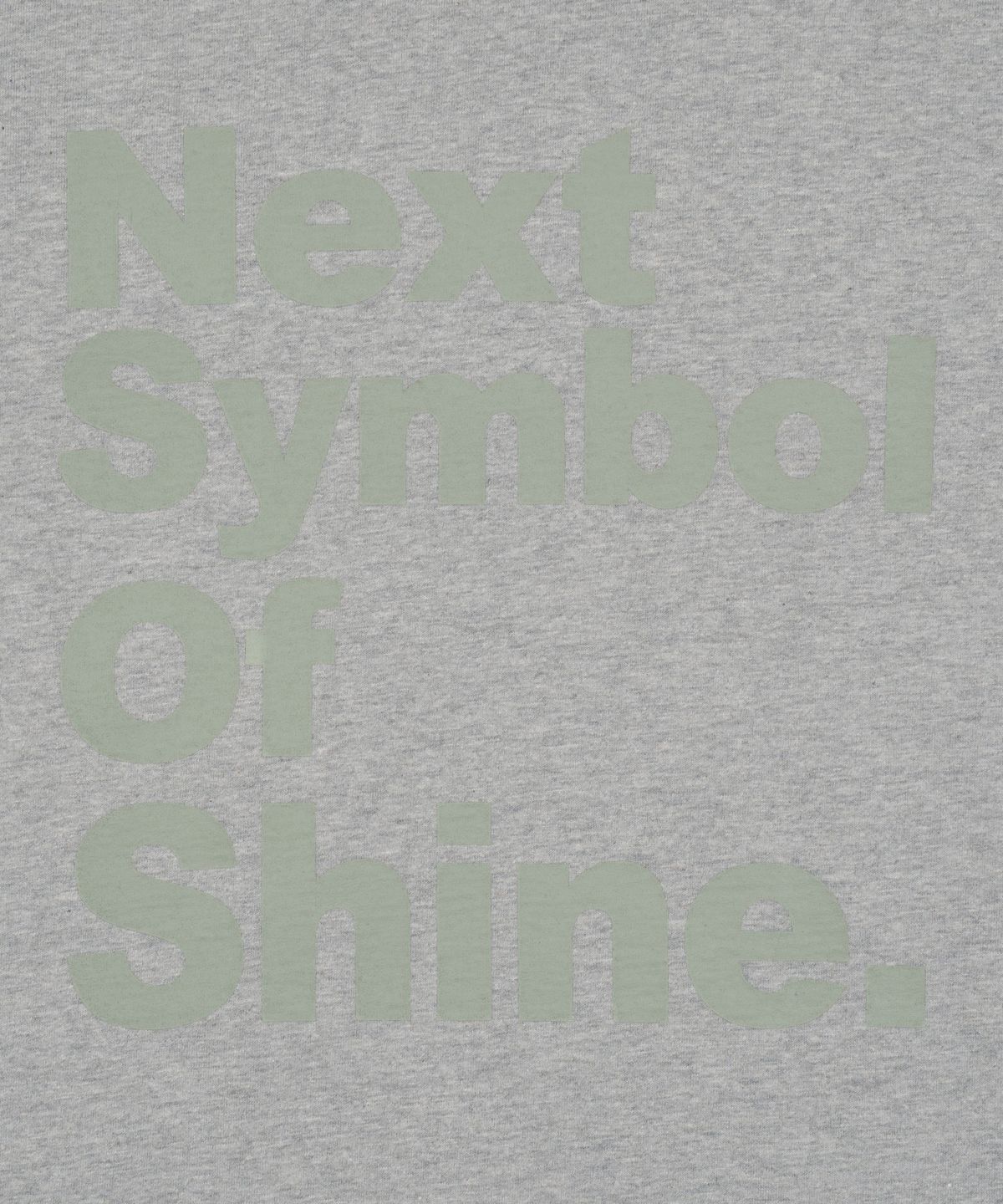 더콜디스트모먼트(THE COLDEST MOMENT) TCM next T (grey)
